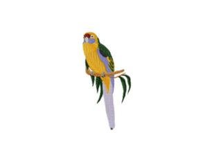 Green Rosella Embroidery Review