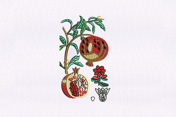 Vines Pomegranate Embroidery Review